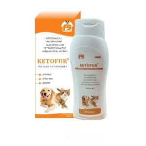 Ketofur shampoo anti fungul